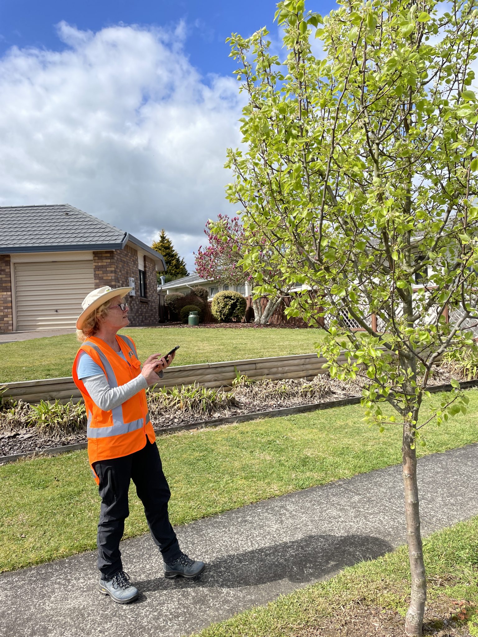 Street Tree Data Collection - XYST