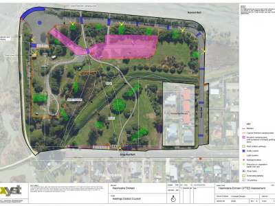 Haumoana_Domain_Jane-Wright