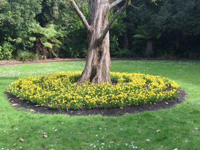 IMG_1958_Alison-Rawley