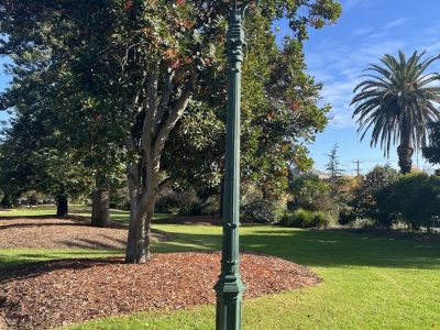 IMG_6870_Mark-Corea IMG_6870_Mark-Corea