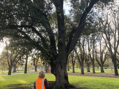 IMG_7740_Mark-Corea IMG_7740_Mark-Corea