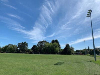 Nelson City Council Sports Field Capacity Review